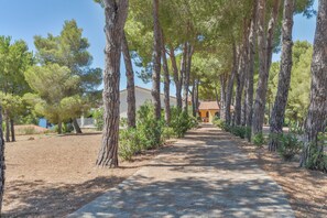 Parco della struttura