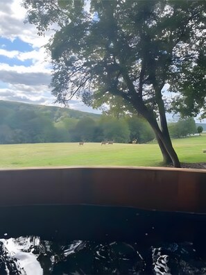 Uitzicht vanuit accommodatie