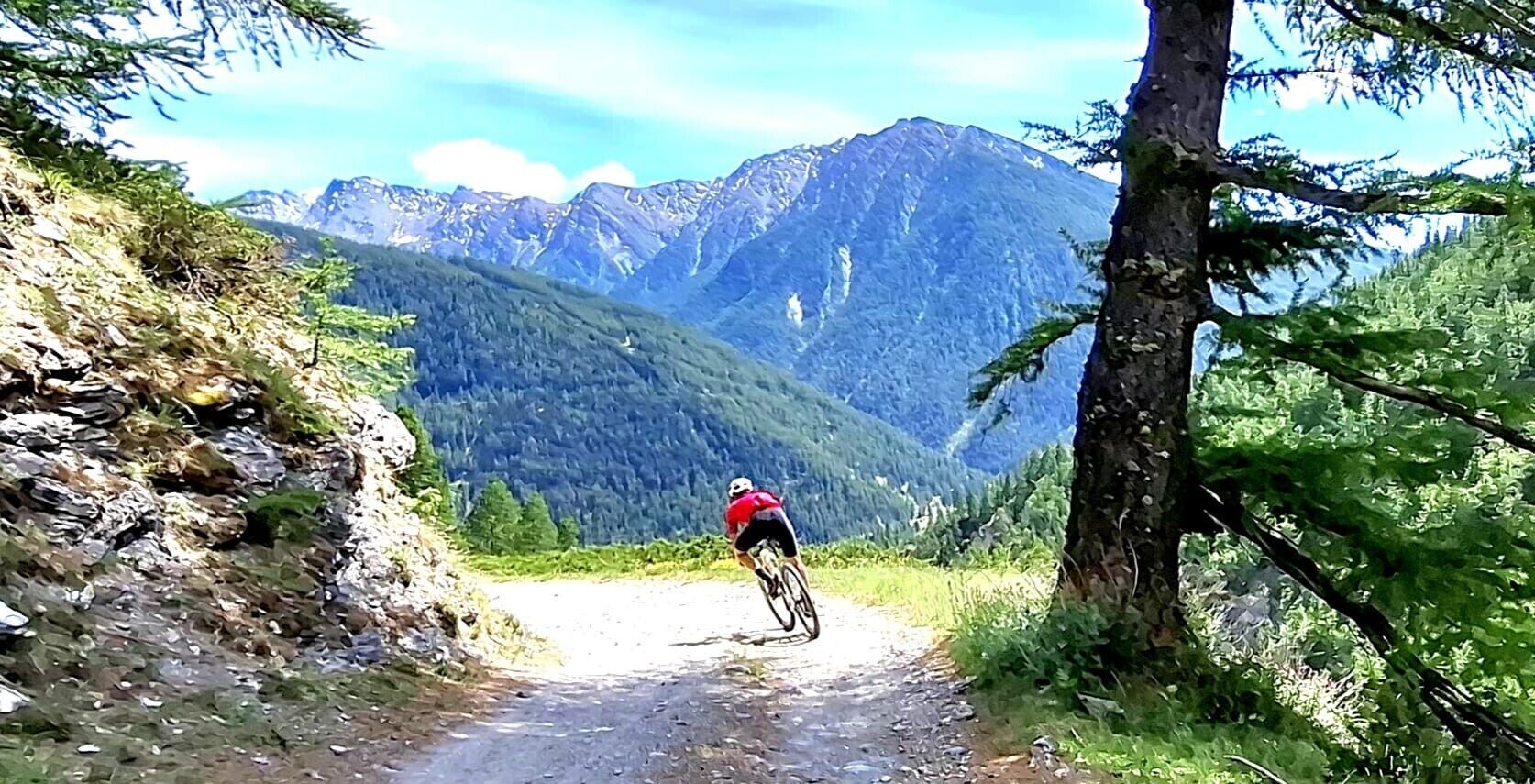 A mountain biker on a dirt path with a forested mountain backdrop.