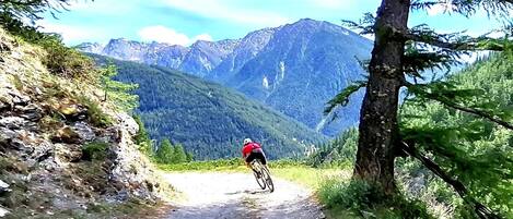 A mountain biker on a dirt path with a forested mountain backdrop.
