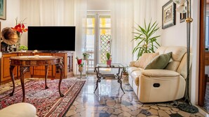 A living room with a sofa, a TV, a coffee table, a patterned rug, and a potted plant. - Apartment 'Re 1' with Balcony, Wi-Fi and Air Conditioning (Trento)