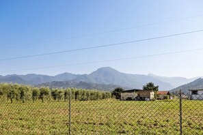 Terrain de lâhĂ©bergement