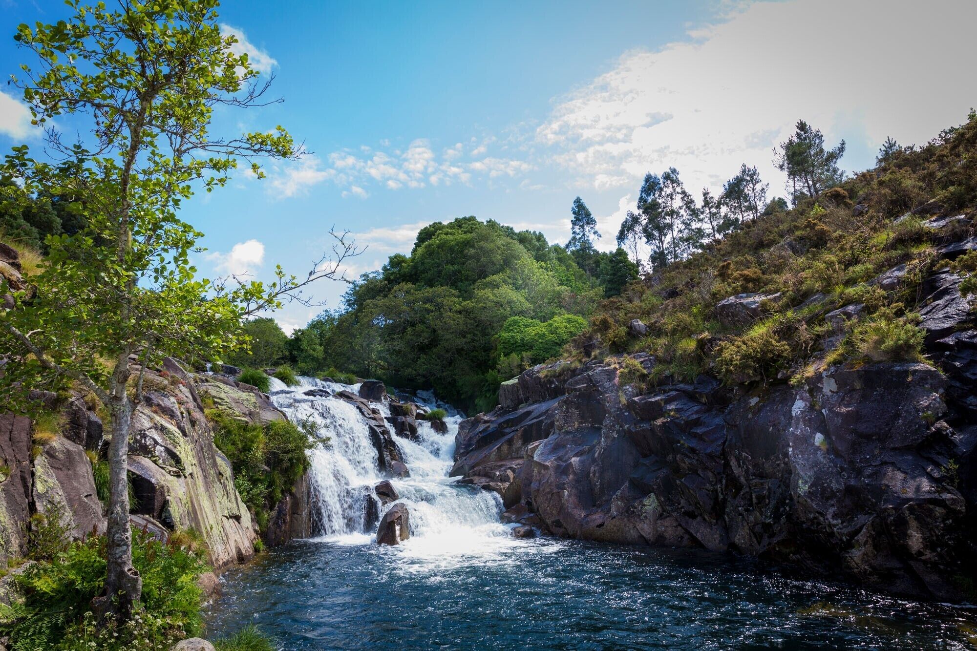 Ein Wasserfall inmitten felsigem Gelände und üppiger Vegetation.