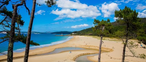 Playa en los alrededores