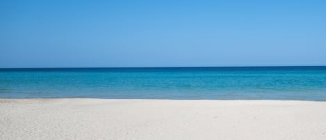 بالقرب من الشاطئ