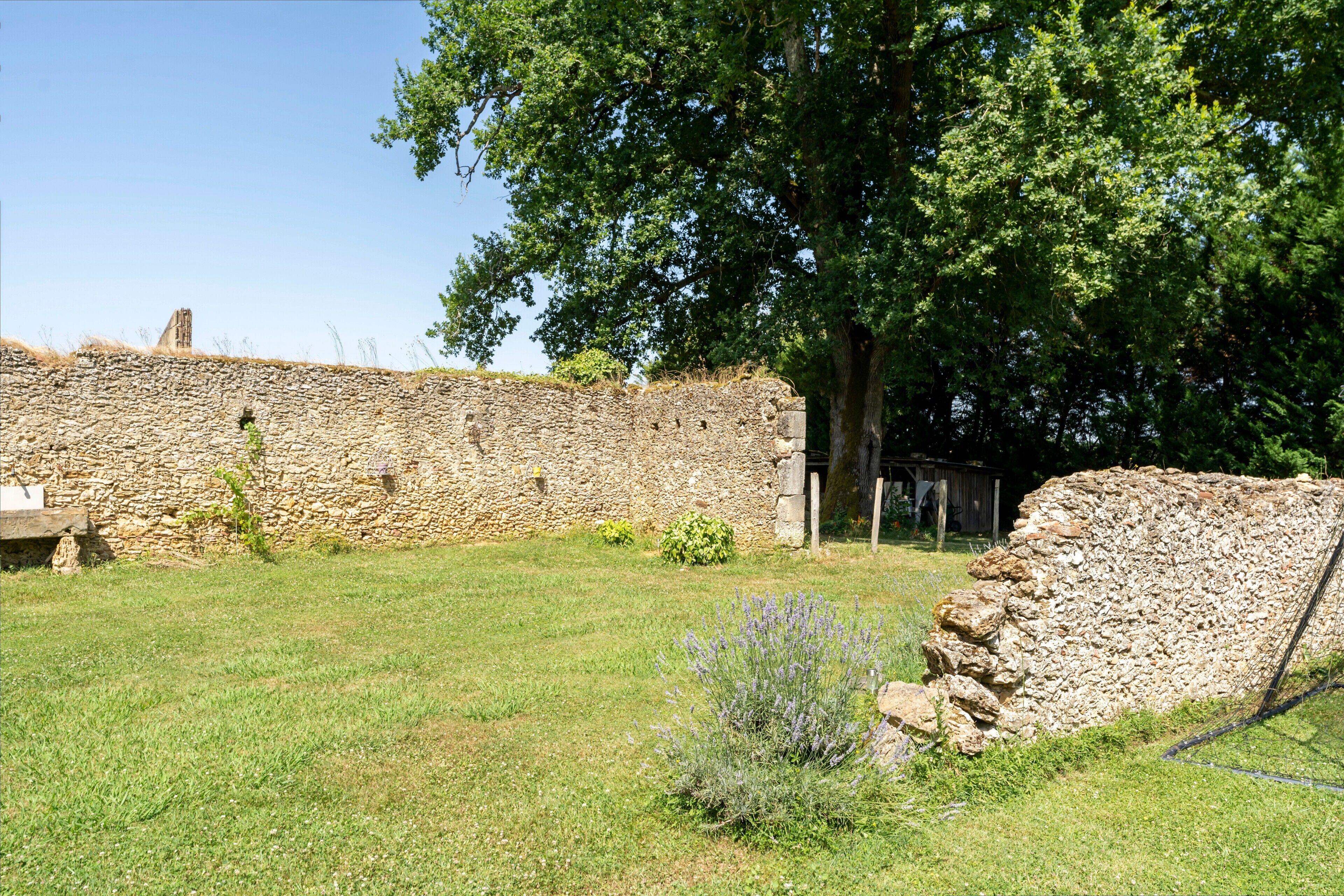 A stone wall, a grassy area, and a tree.