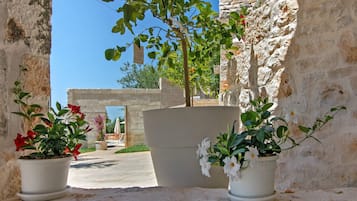 Jardines del alojamiento