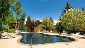 Une piscine entourée d’arbres, avec des chaises longues, sous un ciel dégagé.