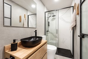 Shower, hair dryer, towels