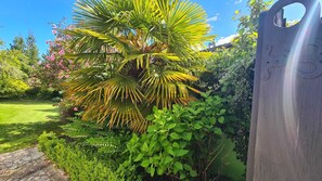 Un giardino con una palma, siepi varie e un cancello in legno.