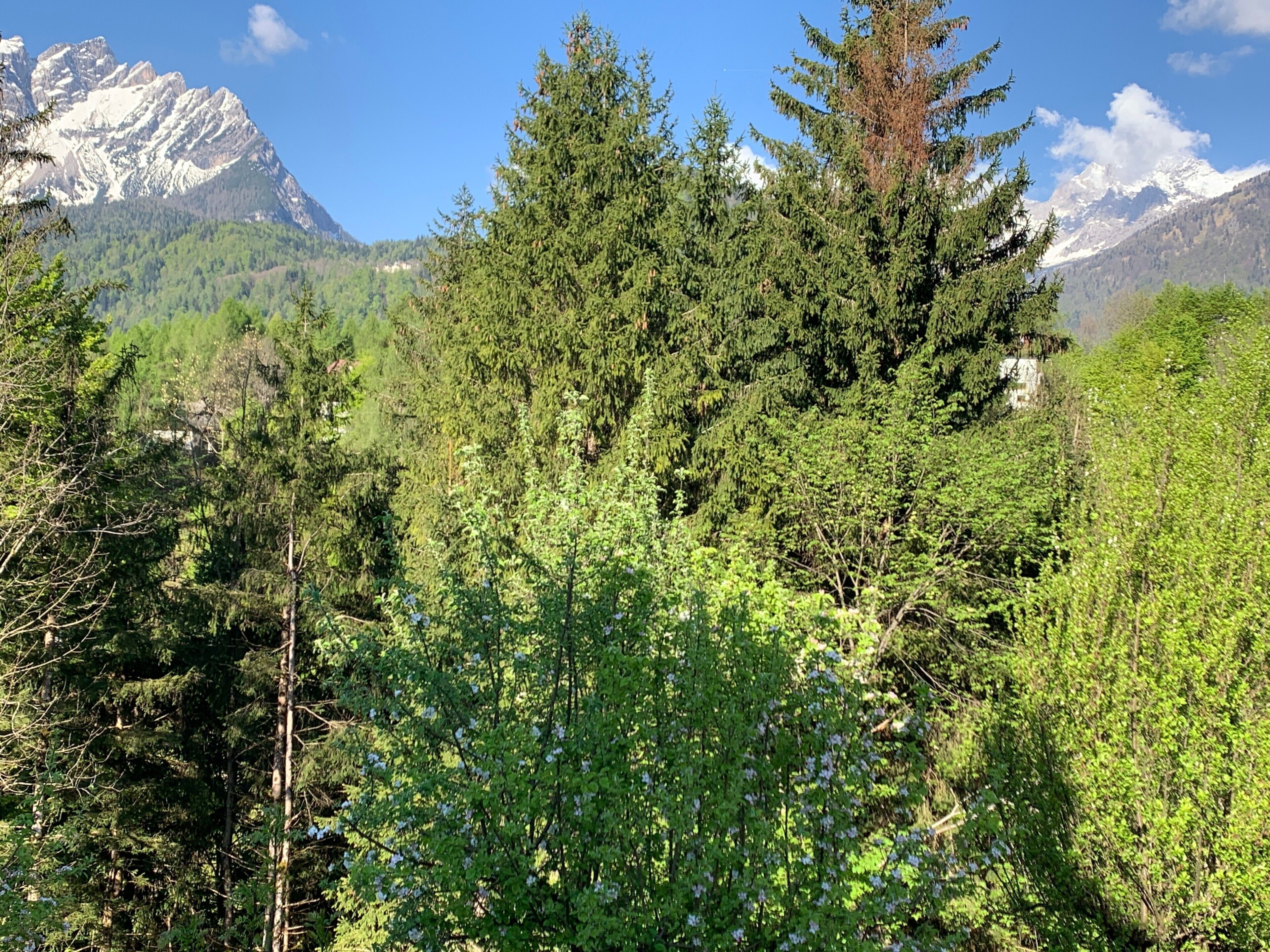 Eine gebirgige Landschaft mit dichten Wäldern und schneebedeckten Gipfeln.