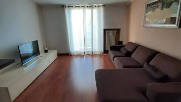 Fernseher