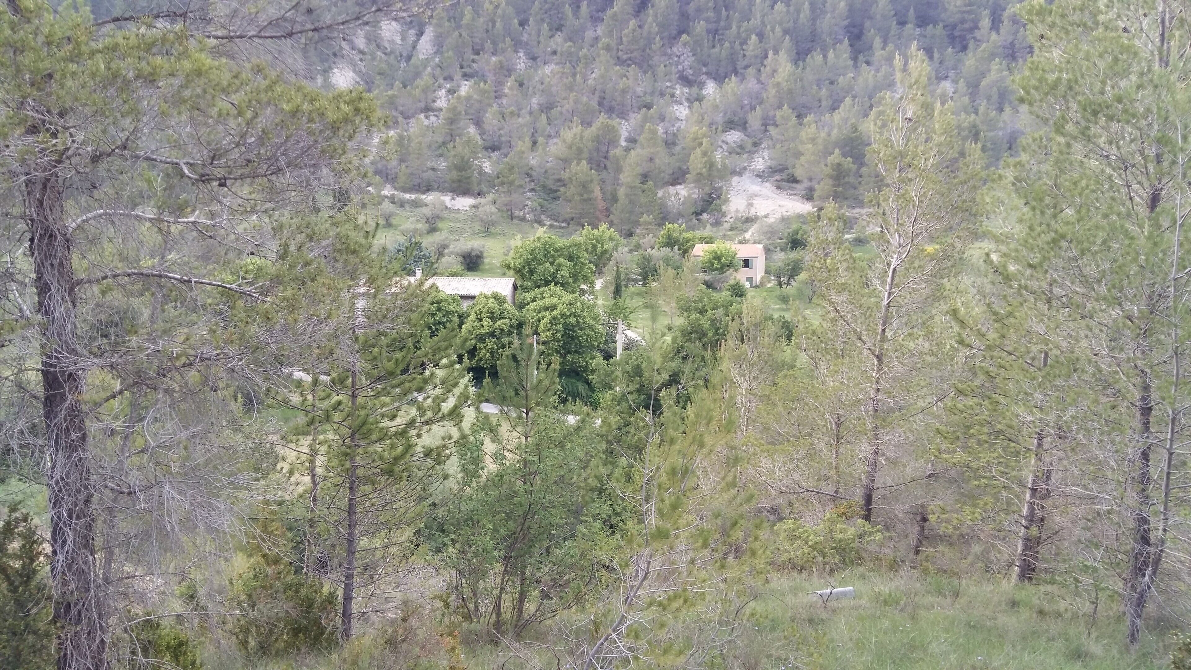 Un cadre rural, avec une maison entourée d’une forêt dense.