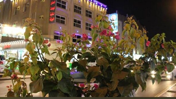 A building with illuminated signage and a large potted plant in the foreground. - Alsultan Inn Hotel (Jizan)