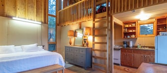 Peaceful private woodland home, open and airy, with ocean views and fire pit