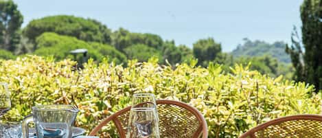 A table set for dining with clear glassware and plates, overlooking a lush garden and the ocean.