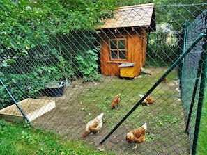 Maison | Enceinte de l’hébergement