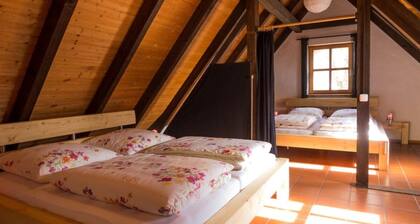 Holiday Apartment With 2 Bedrooms