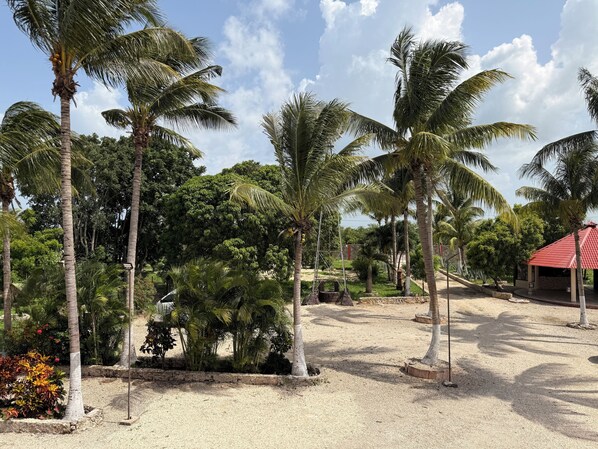 A tropical landscape with palm trees, a red-roofed structure, and a gravel path.