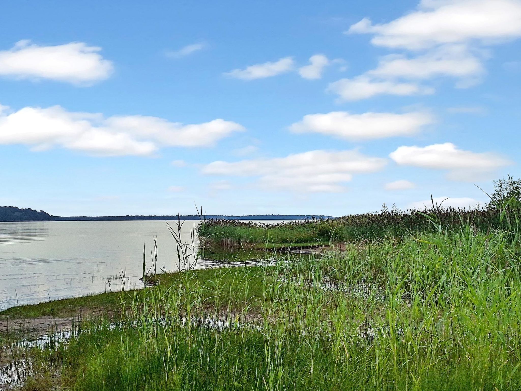 Une vue paisible sur un lac, avec des rives verdoyantes et un ciel dégagé.