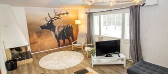 Revontuli villa by Interhome