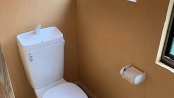 Shower, soap, toilet paper