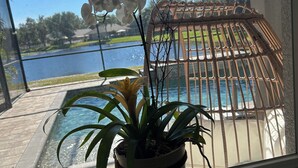 A window with a view of a pool, a pergola, and a plant. - Relax in my calm and stylish space. Enjoy the relaxing lakeview and heated pool. (Riverview)