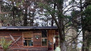 Una cabaña rústica de madera con un porche, un pequeño espacio de estar al aire libre y un jardín con diversas plantas.