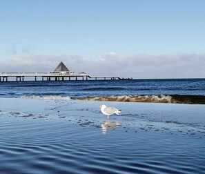 Rumah | Pemandangan dari properti