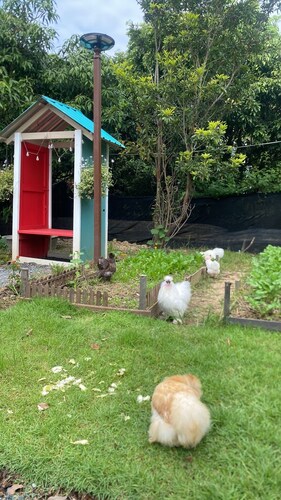 Peaceful Beautiful Living 2-bedroom house in Saraphi with AC, Free WiFi