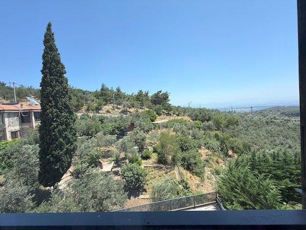 A view of a hillside with a tall cypress tree, a stone building, and a distant view of the sea. - Helios Kaz Dağları 2.BLOK (Edremit)