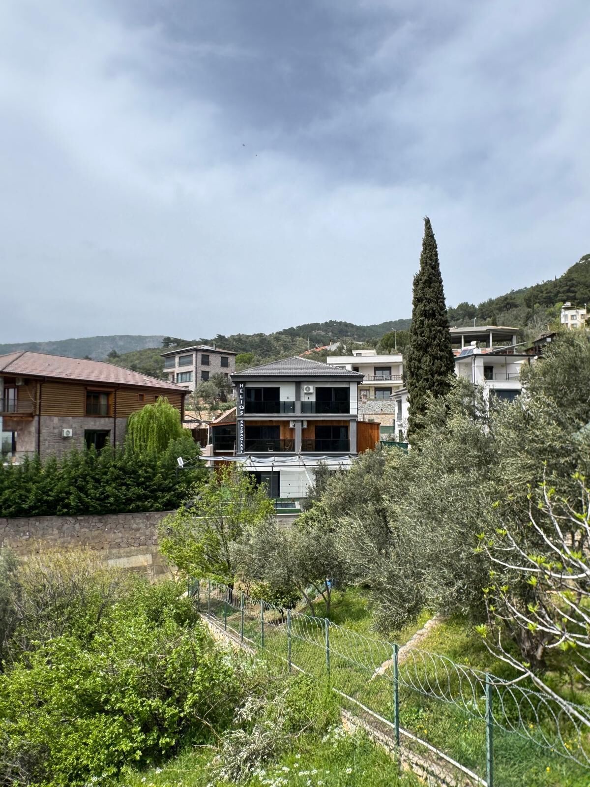 A residential area with modern houses, a stone wall, and a tall tree.