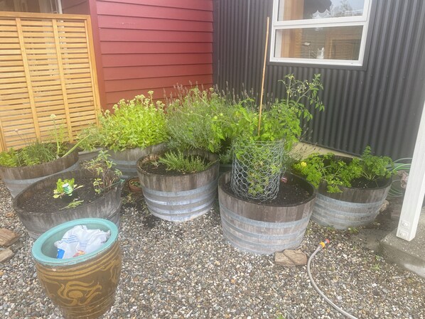 Overnattingsstedets uteområder