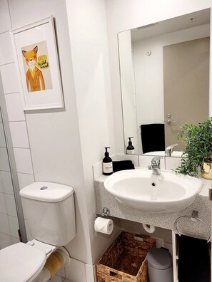 Hair dryer, towels, soap, toilet paper
