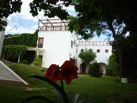 Servicio de la propiedad