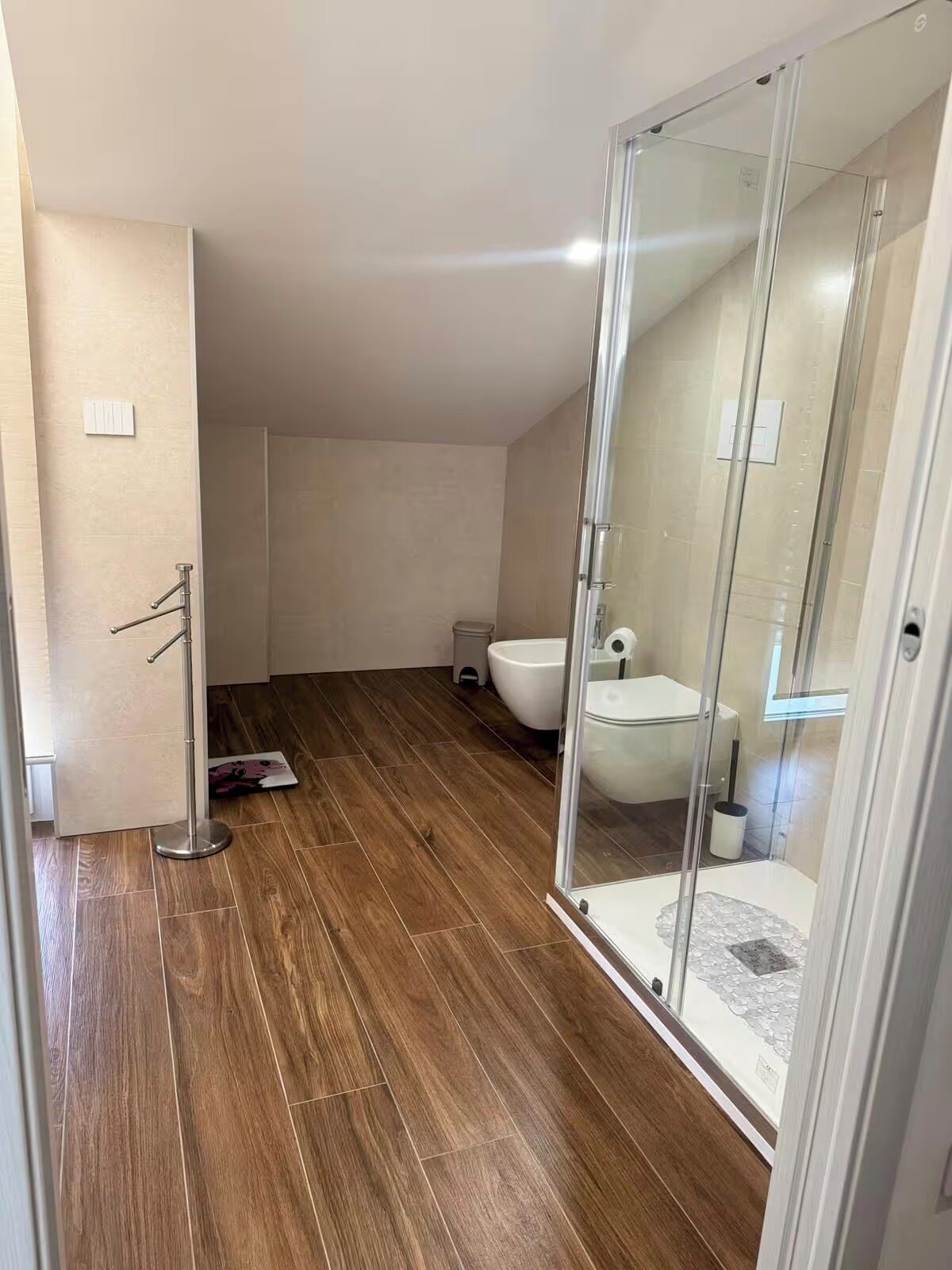 Shower, hair dryer, bidet, towels