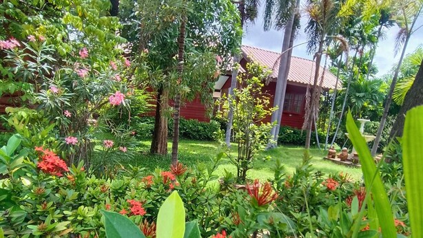 A lush garden with various plants and flowers, a red building with a tiled roof, and a clear sky. - MG Guest House (Thani)