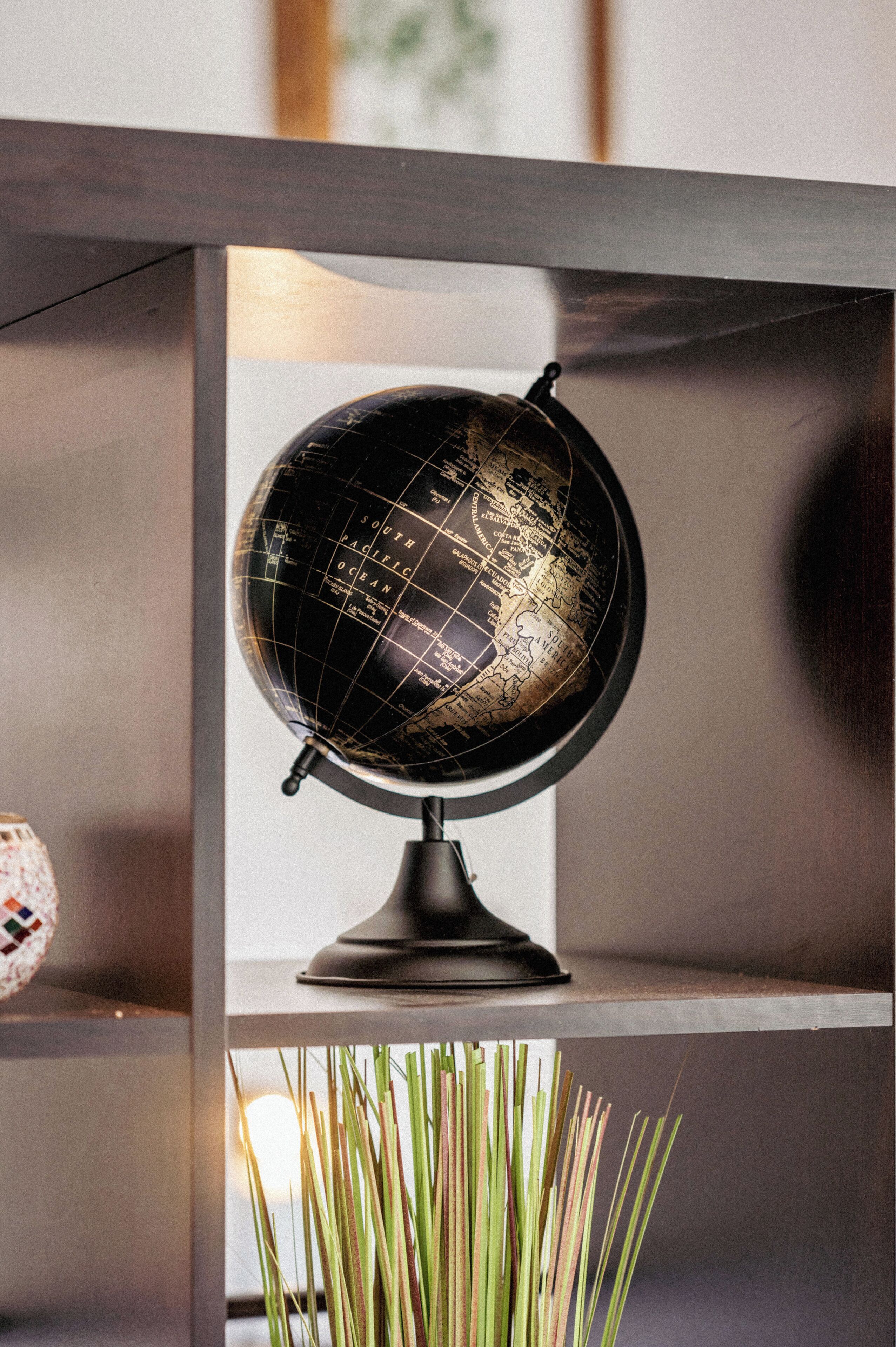 Un globo en una estantería con una lámpara y plantas decorativas.