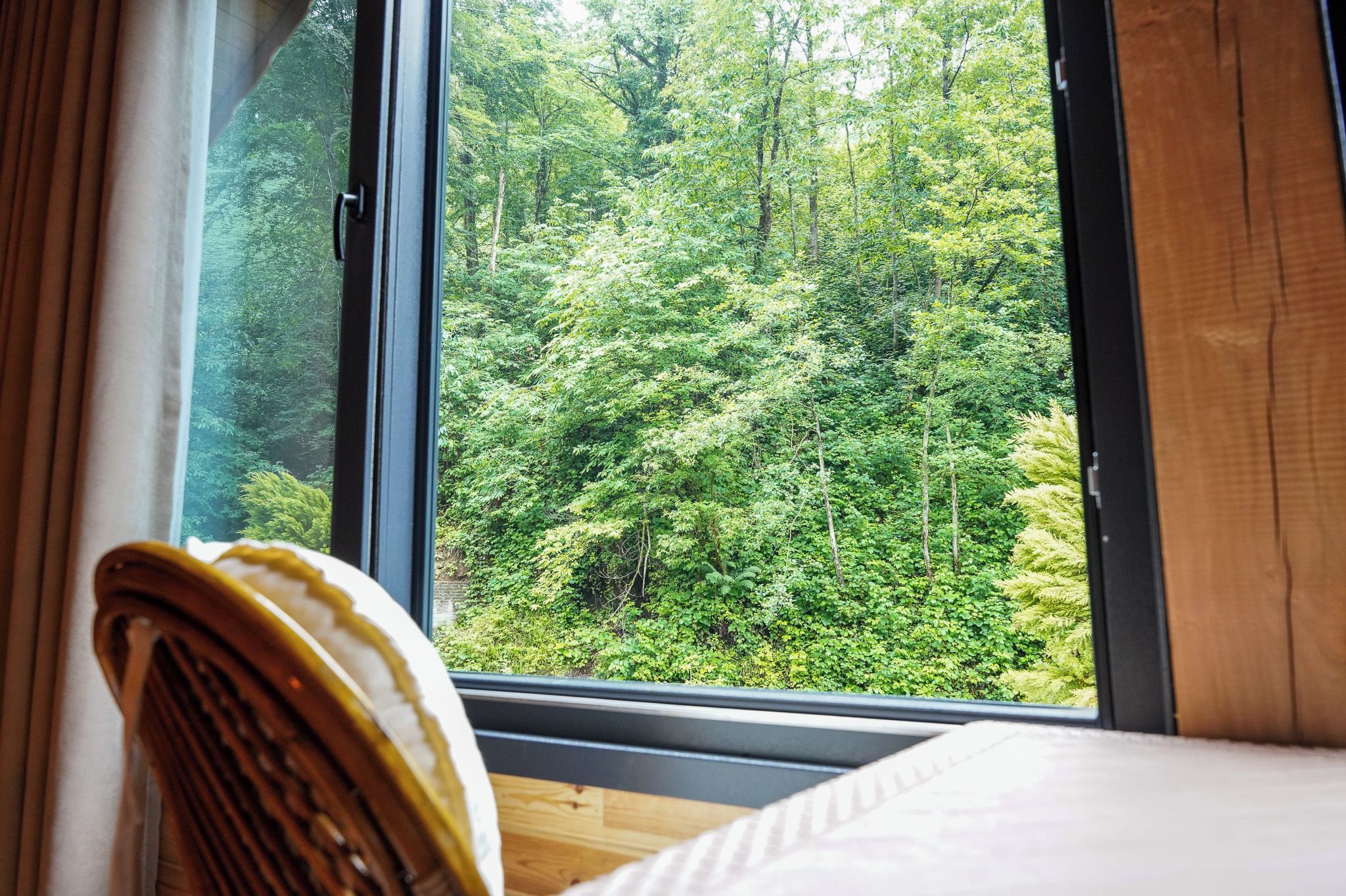 A room with a large window overlooking a dense forest.