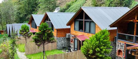 Deluxe Bungalow, River View | View from room