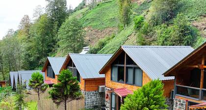 River Villas Resort Bungalow