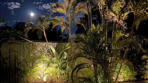 Un jardín nocturno con plantas iluminadas y una cerca.