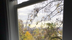 A bedroom with a large window overlooking a cityscape and autumn foliage. - Renovated 2B w/Balcony by OTR, UC, Findlay Market (Cincinnati)