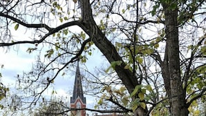 A wooden deck with a bench and a green cushioned sofa, surrounded by trees and a church steeple in the background. - 2 Apts w/ Terrace-OTR, Findlay Market, Rhinegeist (Cincinnati)