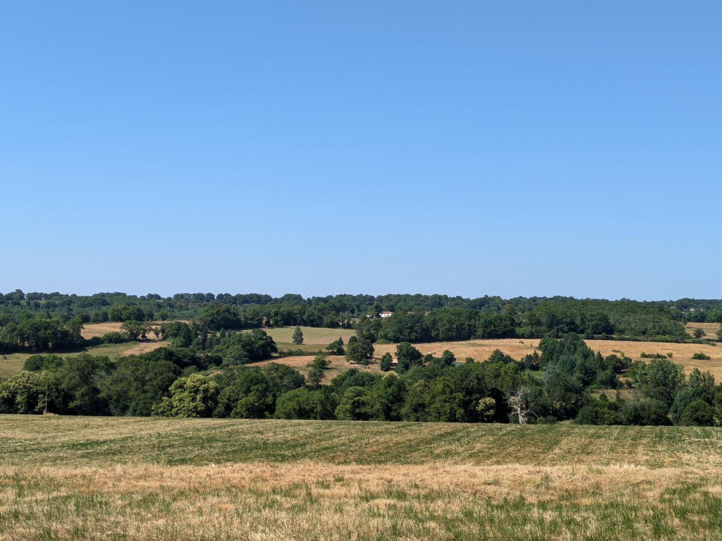 Paisaje rural con colinas onduladas, árboles dispersos y un cielo azul despejado.