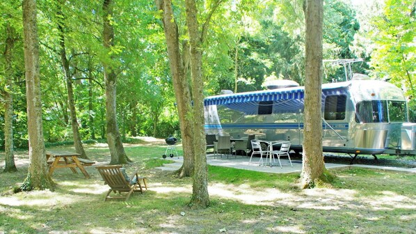 Una vehículo recreativo (RV) estacionado en un área boscosa con mesas de picnic y una parrilla.
