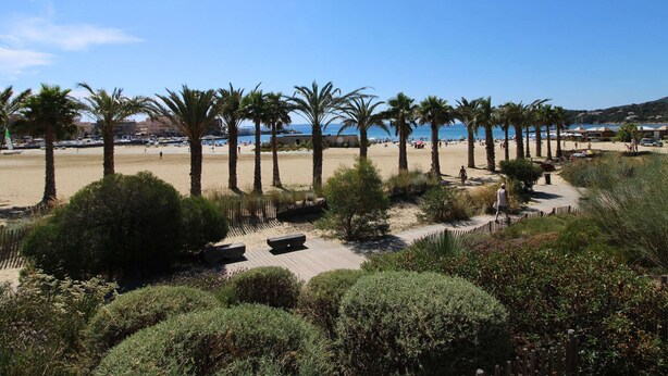 A beach with palm trees, a sandy path, and a view of the sea. - 2-room apartment with terrace, pool and pets allowed at La Favière (Bormes-les-Mimosas)