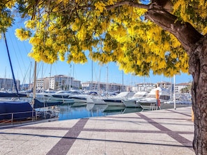 A marina with boats docked, a tiled walkway, and buildings in the background.