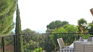 A balcony with a view of a garden, a table with chairs, and a potted plant.