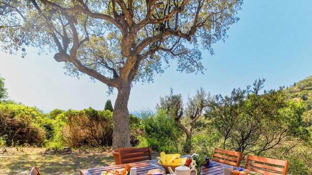 A wooden table set outdoors with a view of a large tree and a hilly landscape.
